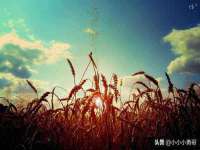 上海绵特信息科技中心