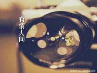 上海绵特信息科技中心