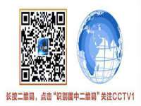 上海绵特信息科技中心