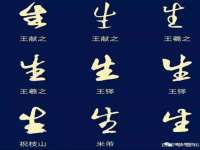 上海绵特信息科技中心