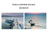 上海绵特信息科技中心
