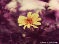上海绵特信息科技中心