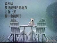 上海绵特信息科技中心