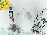 上海绵特信息科技中心