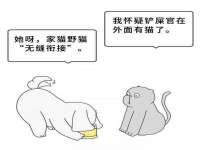 上海绵特信息科技中心