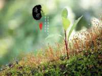 上海绵特信息科技中心