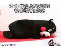 上海绵特信息科技中心
