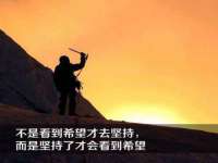 上海绵特信息科技中心