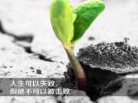 上海绵特信息科技中心