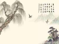 上海绵特信息科技中心