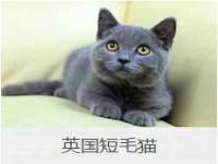 上海绵特信息科技中心