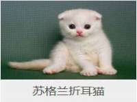 上海绵特信息科技中心