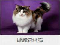 上海绵特信息科技中心