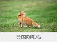 上海绵特信息科技中心