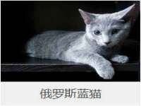 上海绵特信息科技中心