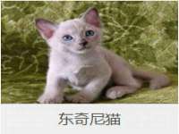 上海绵特信息科技中心
