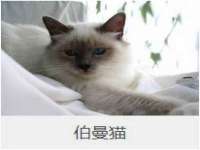 上海绵特信息科技中心