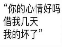 上海绵特信息科技中心