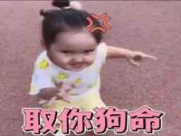 上海绵特信息科技中心