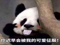 上海绵特信息科技中心