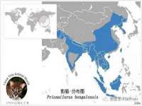 上海绵特信息科技中心