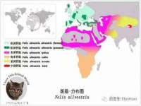 上海绵特信息科技中心