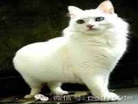 上海绵特信息科技中心