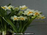 上海绵特信息科技中心