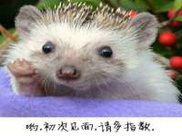 上海绵特信息科技中心