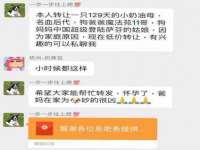 上海绵特信息科技中心
