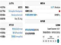 上海绵特信息科技中心