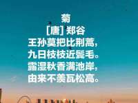 上海绵特信息科技中心