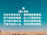 上海绵特信息科技中心