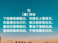 上海绵特信息科技中心