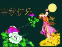 上海绵特信息科技中心