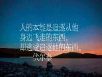 上海绵特信息科技中心
