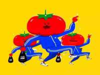 上海绵特信息科技中心