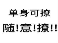 上海绵特信息科技中心