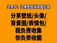 上海绵特信息科技中心