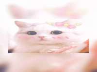 上海绵特信息科技中心