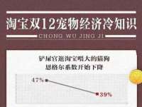 上海绵特信息科技中心