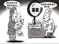 上海绵特信息科技中心
