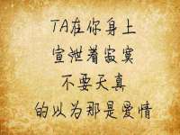 上海绵特信息科技中心