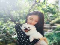 上海绵特信息科技中心