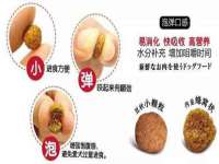上海绵特信息科技中心
