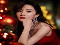上海绵特信息科技中心