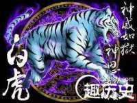 上海绵特信息科技中心
