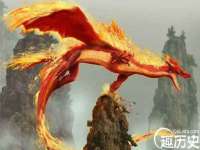 上海绵特信息科技中心