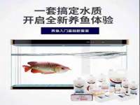 上海绵特信息科技中心