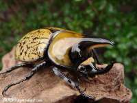 上海绵特信息科技中心